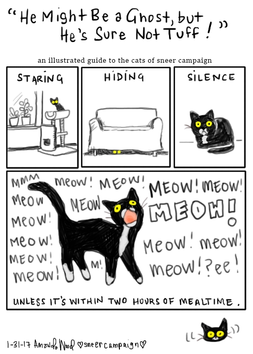 This Illustrated Cat Comic is titled "He Might Be A Ghost But He's Sure Not Tough!" an illustrated guide to the cats of sneer campaign.

The top three smaller panels show: Tuff Ghost on the kitty tree, big yellow eyes. The word "Staring." Big yellow eyes peering from under a couch. "Hiding." Tuff Ghost in a loaf form, staring blankly at  you. "Silence."

The bottom large panel says "unless it is within two hours of meal time." Then there is Tuff Ghost, giant mouth, a thousand meows all around him.