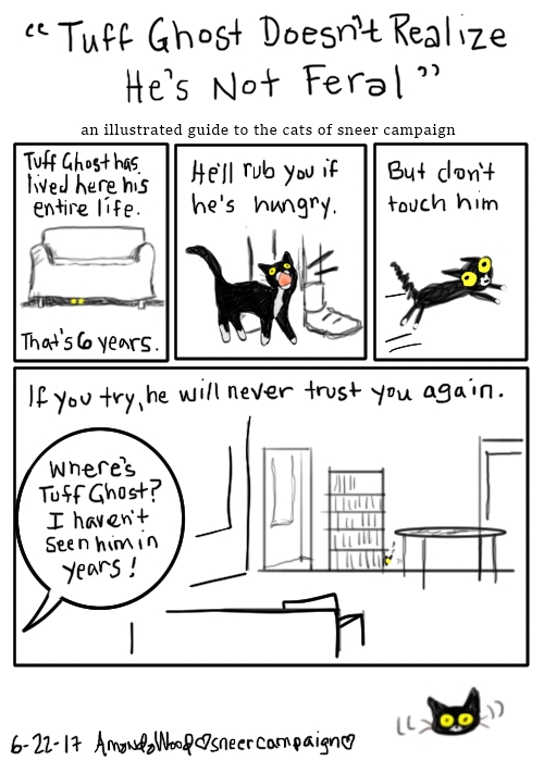 This comic is titled "Tuff Ghost Doesn't Realize He's Not Feral" an illustrated guide to the cats of sneer campaign.

The top three panels are smaller and go like this:
1: Tuff Ghost is under a couch looking out. "Tuff Ghost has lived here his entire life. That's six years."
2: He'll rub you if he's hungry." Here he is meowing at human shins.
3: He's afraid, running in terror. "But don't touch him."

The large panel at the bottom shows an empty room with maybe him worried behind a book shelf. "If you try, he will never trust you again."
A human off panel says "Where's Tuff Ghost? I haven't seen him in years!"