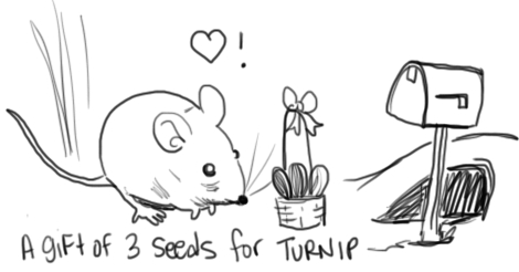 hi turnip