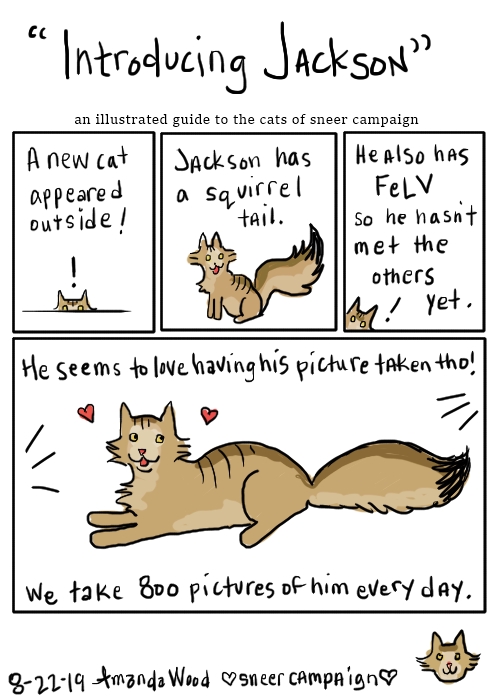This is the one and only comic about Jackson called "Introducing Jackson" an illustrated guide of cats of sneer campaign.

"A new cat appeared outside! Jackson has a squirrel tail."

Drawn, it is a brown tabby cat with a luxurious long coat.

"He also has FeLV so he hasn't met the others yet. He seems to love having his picture taken though! We take 800 pictures of him every day!" He lays there posing while cameras go off like paparazzi.