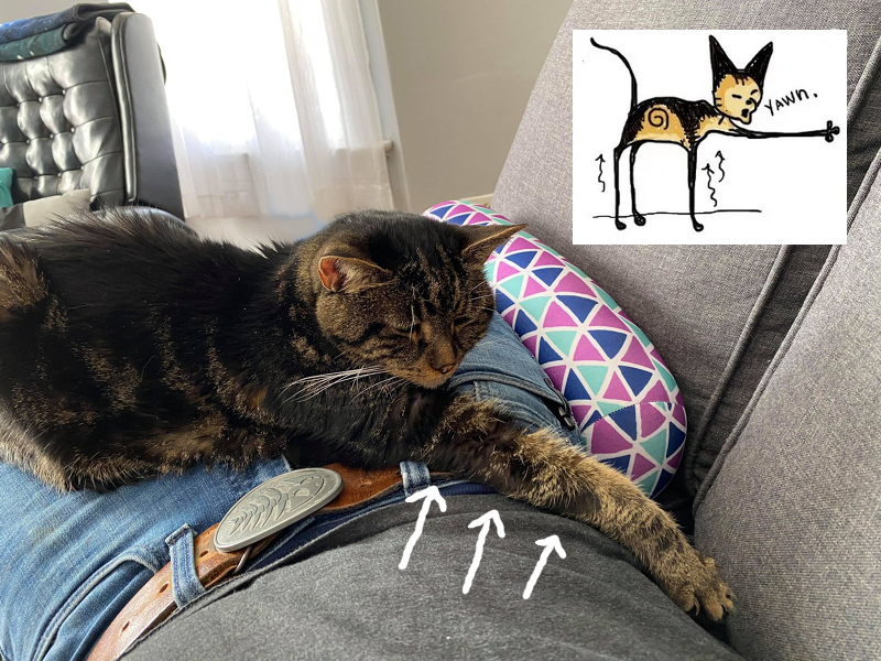 Dark tabby cat lies on Jamie's lap, her right arm stretched out to seemingly impossible lengths. There is an inset from a kitty comic I had made about this, where her legs are long and very thin. It was true!