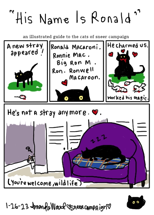 A simply drawn comic called His Name Is Ronald; an illustrated guide to the cats of sneer campaign.

There are three smaller panels on the first line. They show a black cat surrounded by various dead animals: mice, a squirrel, a bird. The words throughout the panels tell: "A new stray appeared! Ronald Macaroni. Ronnie Mac. Big Ron M. Ron. Ronwell Macaroon. He charmed us. Worked his magic."

The panel beneath those three is as big as all three put together. It shows Ronald asleep on a chair. The words say "he's not a stray anymore." In parentheses under everything, it is added: "you're welcome, wildlife."

In the background looking around the corner there is Puffin, the calico cat, watching in an angry little manner.